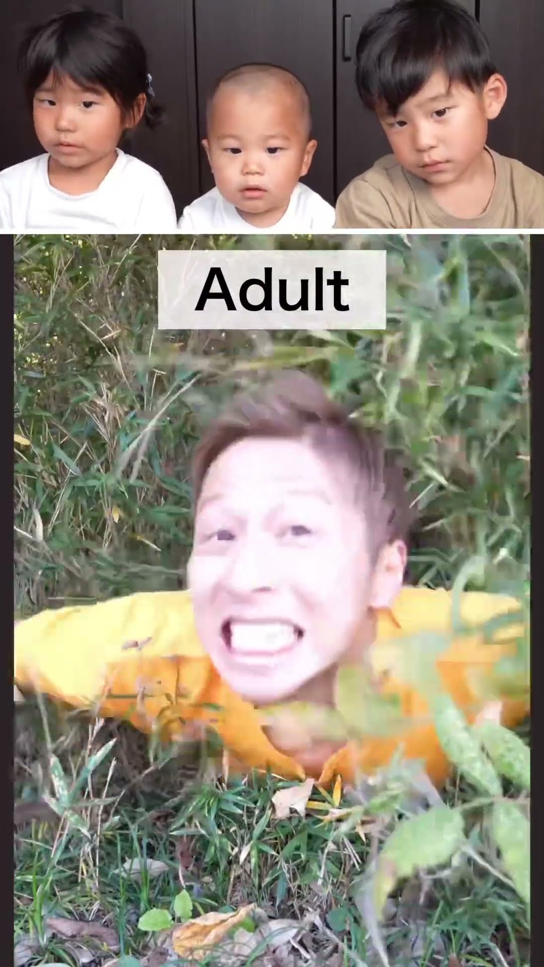 Dad's funny videos?