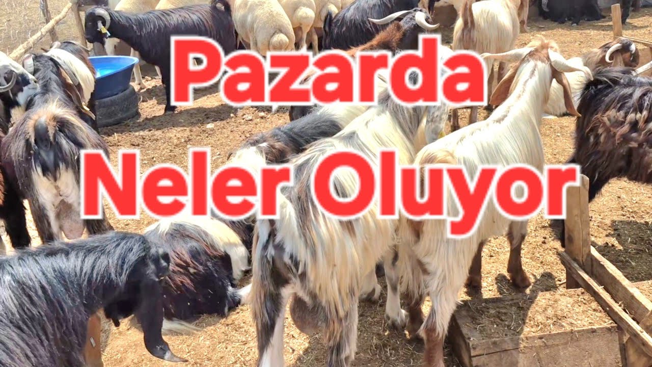 ADANA YÜREĞİR KİREMİTHANE MESLEK LİSESİ 