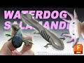 Waterdog salamander 3d modeling and soft plastic bait making