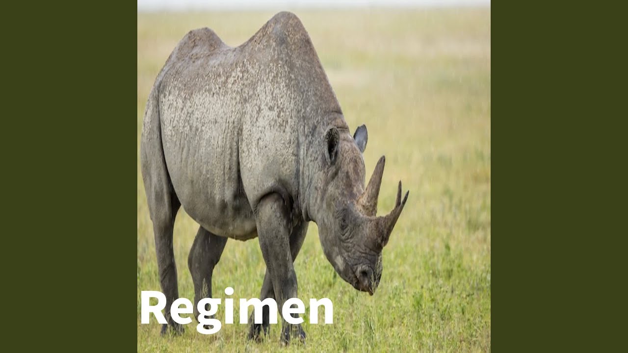 Watch Regimen on YouTube Watch Regimen on YouTube