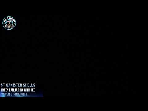 4″ video preview
