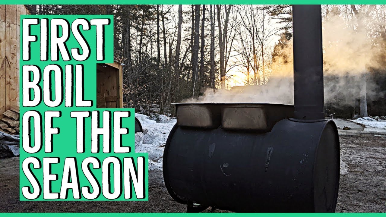 First Time Making Maple Syrup on the Homestead using 55 Gallon Drum