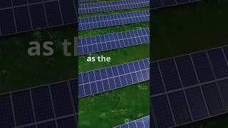 Photosynthesis explained in 60 seconds