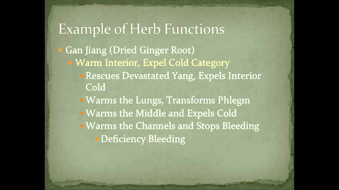 Herb Functions of Ginger Root in Chinese Medicine YouTube