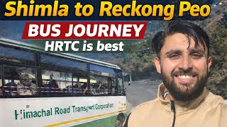 Ye to krna hi chahiye| Road, People &amp; an unforgettable travel experience #shimla #reckongpeo #hrtc 