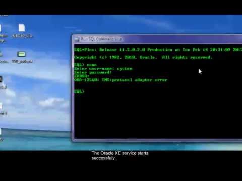 Oracle - TNS : Protocol Adapter Error Working Solution
