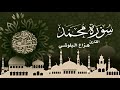 هزاع البلوشي سورة محمد كاملة - ( سكينة وراحة ﻻ توصفّ | HD