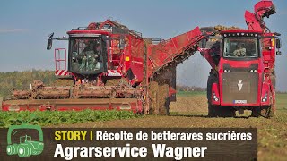Récolte De Betteraves Sucrières Holmer Terra Dos 5 Avec Le Hr 12 Visite De Lusine