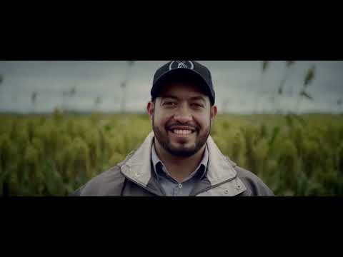 La Cooperativa Agroindustrial de Holambra se embarca en un viaje para recordar sus ra&iacute;ces