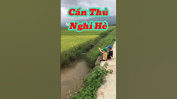 Vlog 1243 : Khối Nghỉ Hè Tập Câu Cá #nghisuave #fishing #câucá #đammêcâucá #giaitri #funny