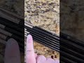 Honest Review of KINGMAS Angled Eyeliner Brush Set
