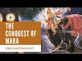 The conquest of mara