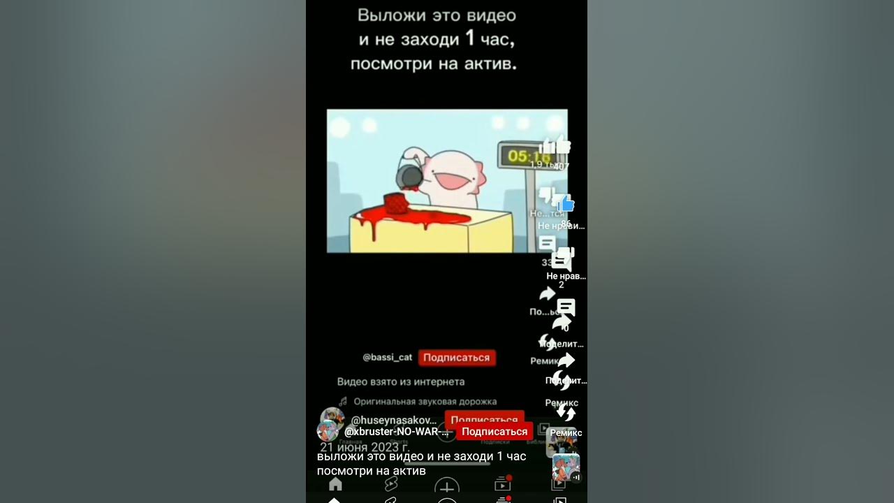 "@bassi_cat" - YouTube