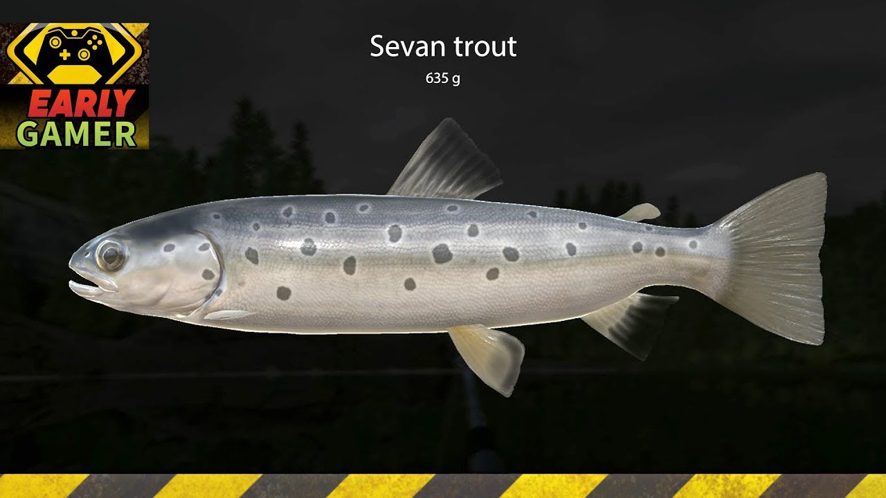russian fishing 4 cheat russian fishing 4 cheat