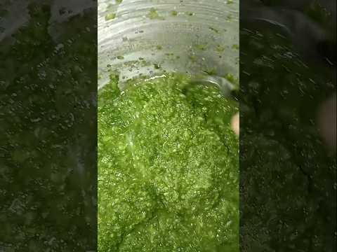 الخلطة ديال الربيع والتومة والزيت لغتهنيك وتستعمليها فجميع الوصفات