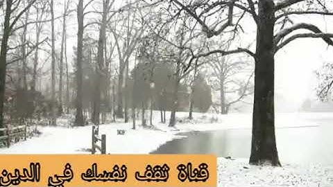 هدوء حزين من سورة البقرة للشيخ ناصر القطامي 2 - 6 - 1439