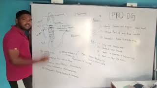 MATURE SPERM #exam #reproductivehealth #reproduction #education #knowledge #coaching 