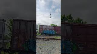 CSX M367 Slows To A Stop A Couple Hundred Feet Past The Crossing For Some Reason! | Quick Catch 28!