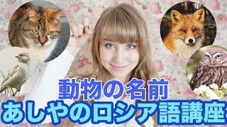 ダジャレで覚えるロシア語 動物の名前 あしやのロシア語講座 Youtube