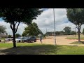 Grackles are dive-bombing people outside Sachse City Hall