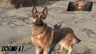 Fallout 4 (Ep.4) - Dogmeat