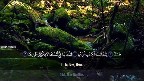 كل يوم ايه تلاوه خاشعه الا بذكر الله تطمئن القلوب سورة الشعراء| إسلام صبحي