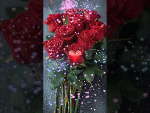 Beautiful Natural Flowers Garden Natureflowers Ytstus Trending Youtube Flowers