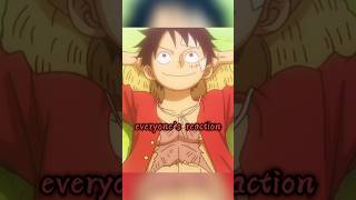 Robin Know Something About Luffys Dream