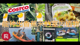 Costco最新减价商品信息及好物推荐【8月7-13】，八月第一周，Costco大量水上活动用品，包括小船打折，居然有可以在家里种出香蕉来的香蕉树；多种花园和户外活动用品打折，学生用品多种选择开始打折