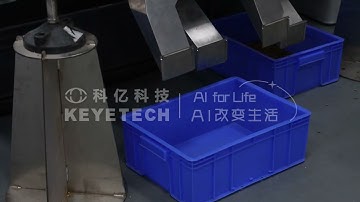 AI vertical intelligent sorting   Lentils insect eyes, heterochromatic