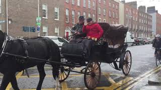 Dublin Carriage Drivers and My Lovely Horse Rescue Join Forces