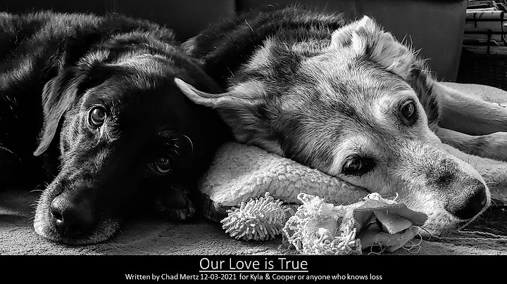 Our Love is True - An Original Song About Love, He...