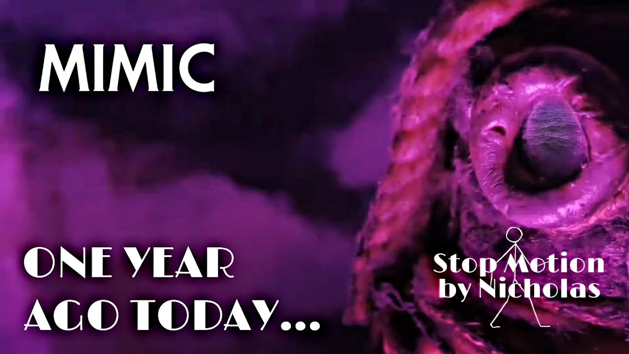MIMIC | One Year Ago Today - YouTube