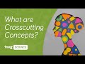 What are crosscutting concepts  twig science