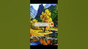 تلاوه خاشعه بصوت القارئ رعد الكردي ❤️😌 سورة هود #رعد_الكردي #سورة_هود