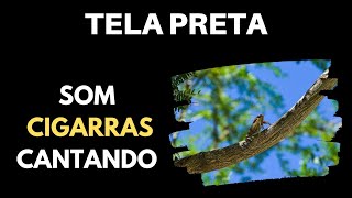 Som CIGARRAS Cantando | Tela Preta ⚫🦗 [ASMR Ruído branco] 10 Horas Para Dormir by Mardeo Music 7,259 views 3 years ago 10 hours