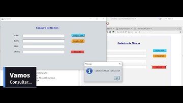 Excluindo registros com Java.