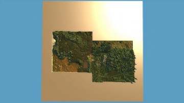 Ruins of Lordaeron Arena... but Without Culling!