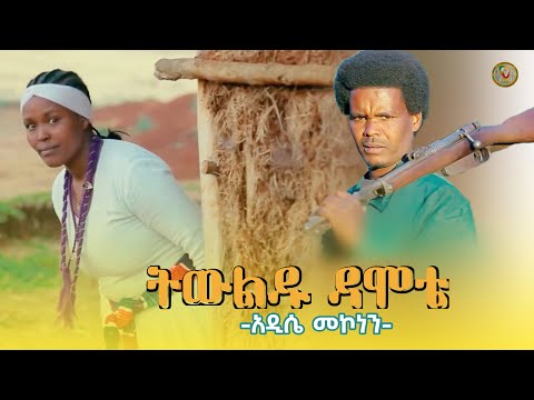 Addissie Mekonnen Hememie አዲሴ መኮነን ህመሜ Ethiopian Music 2025