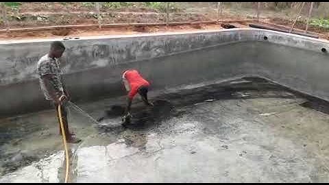Cleaning up the concrete fish   pond    at least     in every     3      months     .