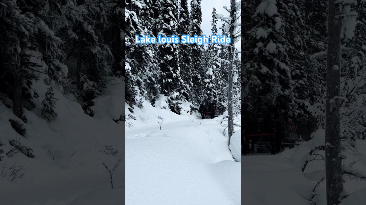 Lake Louis Sleigh Ride