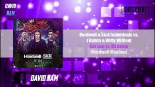 Get Low vs. Mi Gente (Hardwell Mashup) [David Nam Remake]