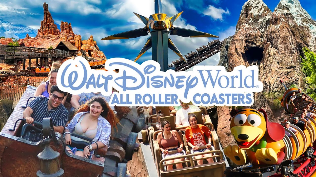 Every Single Roller Coaster at Every Disney Park