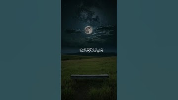 وعسى أن تكرهوا شيئًا وهو خير لكم #قرآن #تلاوة #فارس_عباد #القرآن_الكريم #وعسى_أن_تكرهوا #خشوع