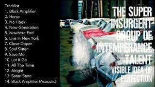 THE S.I.G.I.T - VISIBLE IDEA OF PERFECTION (2006)