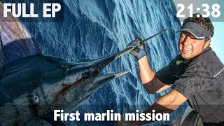 Catching your First Marlin in New Zealand