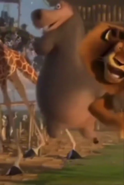 Madagascar 2 - Gloria the Hippo shakes DA FAT ASS (Short)