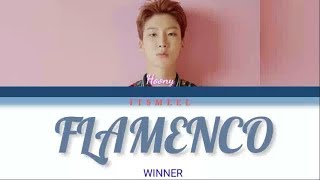 WINNER ( HOONY ) - FLAMENCO (Color Coded Romanization)