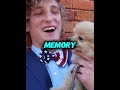 The Saddest YouTubers Pets Passing 🥺#ksi #pewdiepie #loganpaul #pets #petlover #petshorts