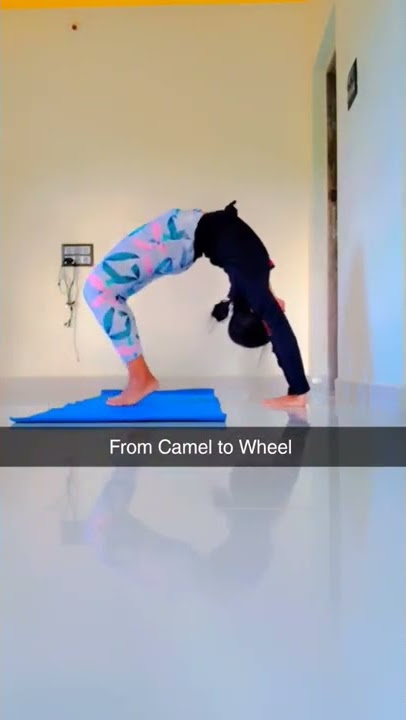 Camel to Wheel#camelpose #ustrasana #wheelpose #chakrasana #yoga #yogaflow #stayfit #stayflexible